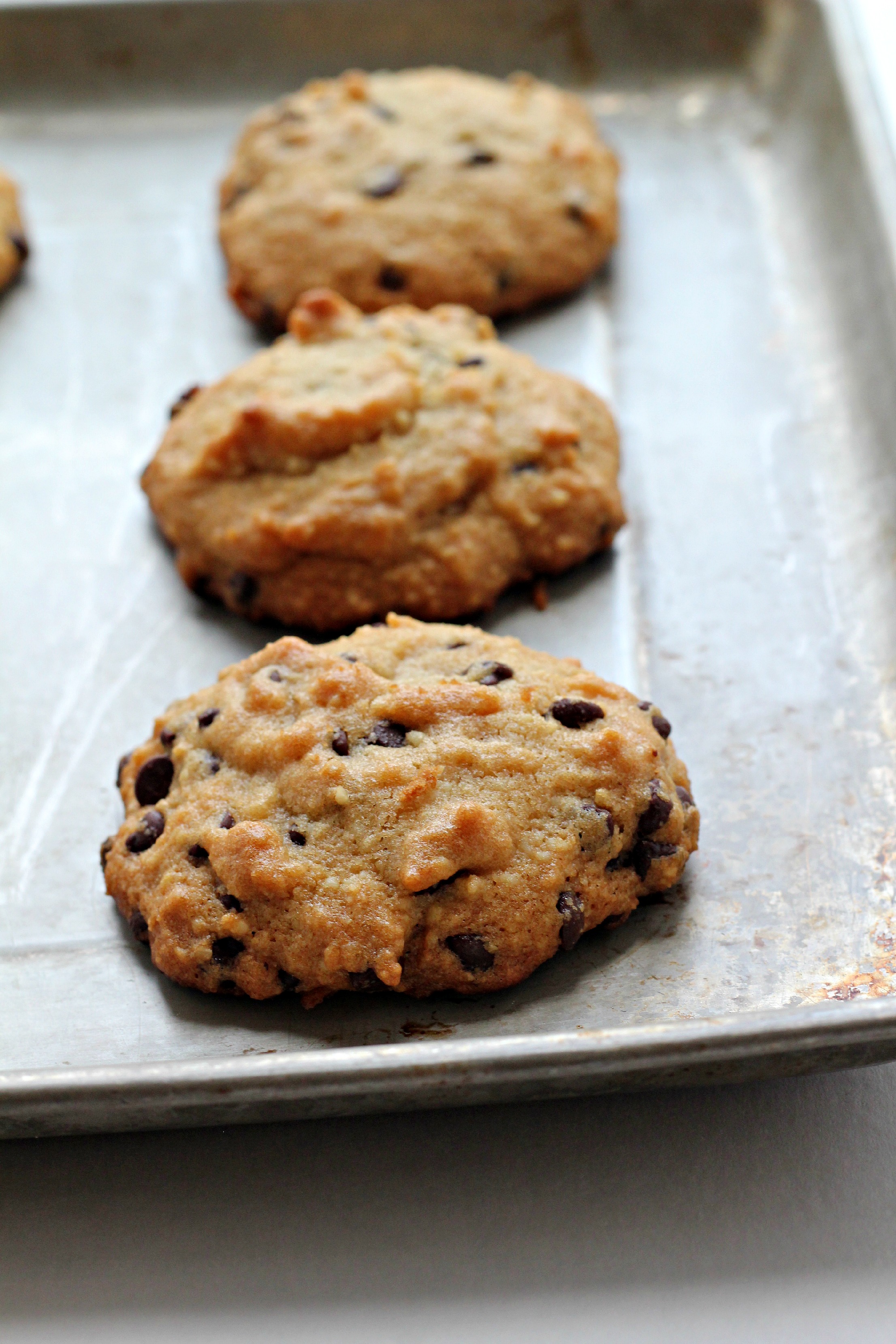 These are REAL deal Paleo Chocolate Chip Cookies. They taste just like the real thing. Warning, you can't just have one. 